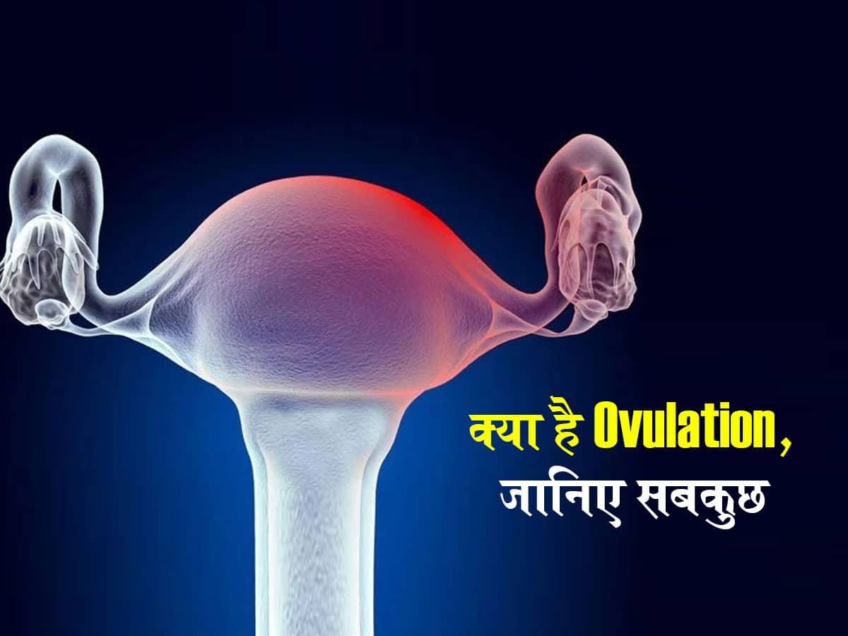 What is Ovulation Period in hindi : मां बनने से पहले जान लें कितना जरूरी है Ovulation पीरियड! सही जानकारी से होगी हेल्दी प्रेगनेंसी और रहेंगी सेफ